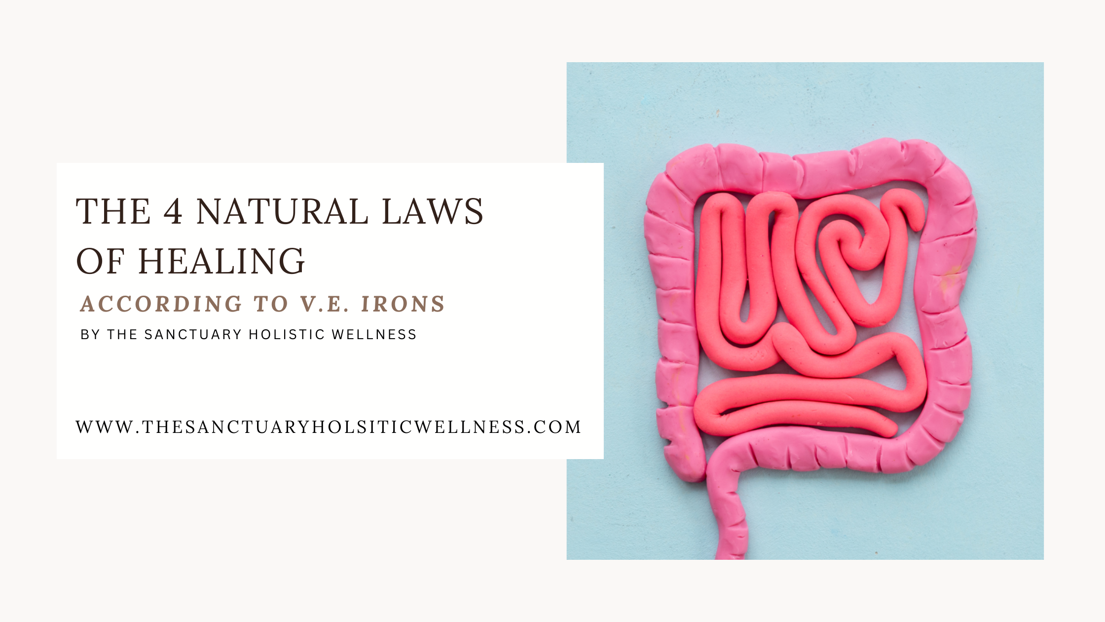 The 4 Natural Laws of Healing