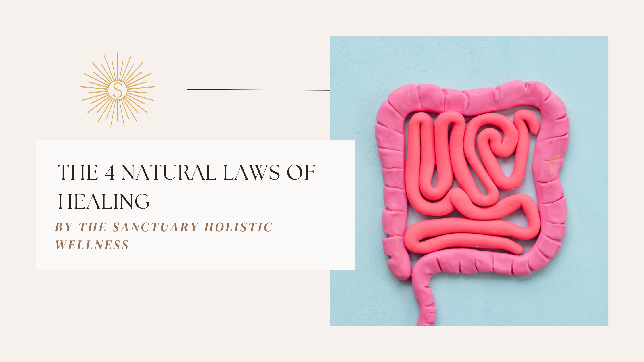 The 4 Natural Laws of Healing