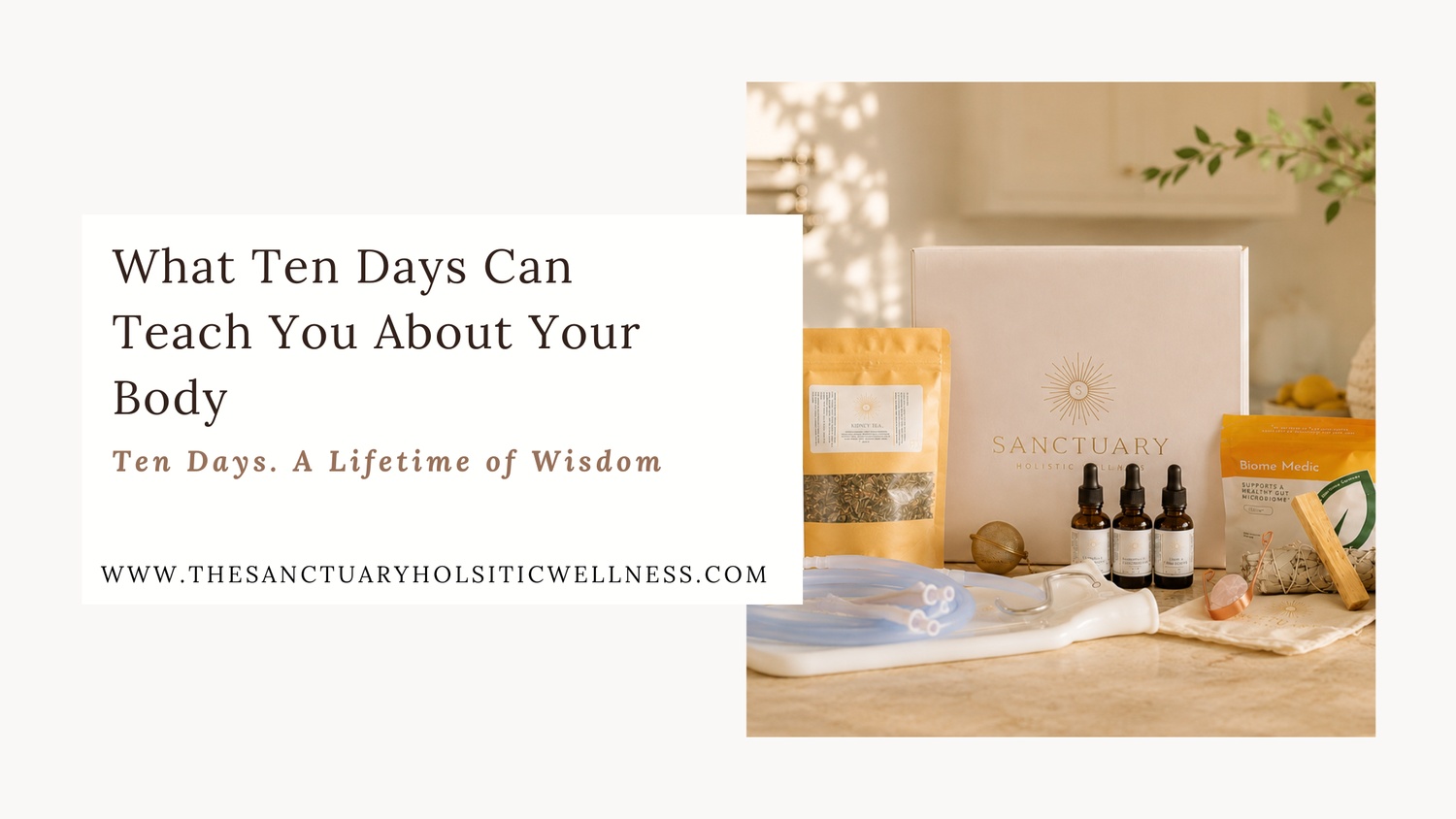 What Happens During a 10-Day Cleanse? What Ten Days Can Teach You About Your Body