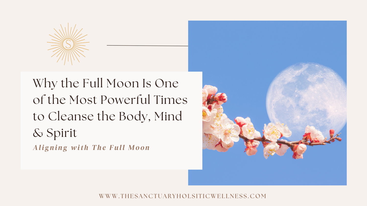 Why the Full Moon Is One of the Most Powerful Times to Cleanse the Body, Mind & Spirit