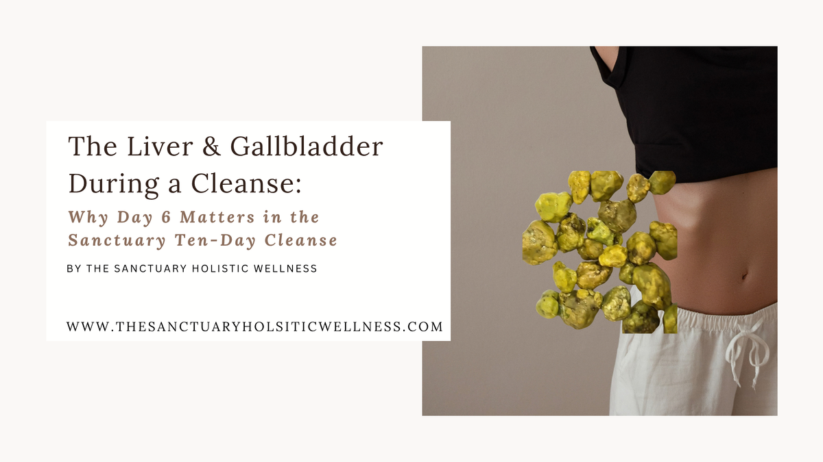 The Liver & Gallbladder During a Cleanse: Why Day 6 Matters in the Sanctuary Ten-Day Cleanse